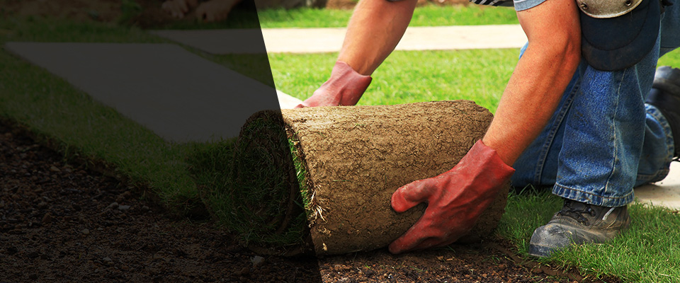 Schoolcraft Landscapers